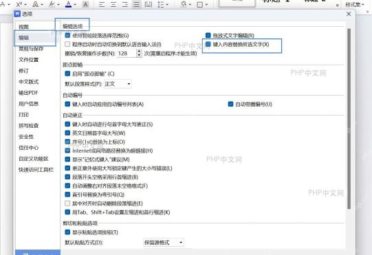 Word 选项窗口,编辑设置区域,包含‘键入内容替换所选文字’复选框的界面截图