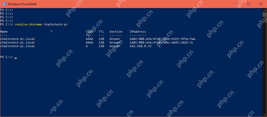 Windows 11 先查询 A 或 AAAA 地址记录的真实界面截图