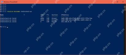 Windows 11 先查询 A 或 AAAA 地址记录的真实界面截图