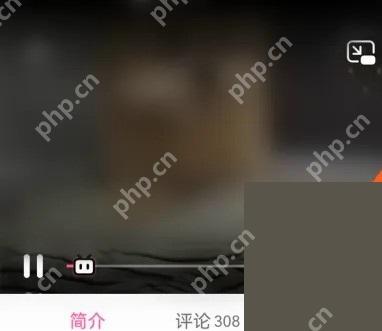 哔哩哔哩内容播放页