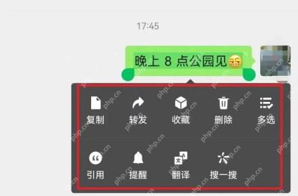 微信长按文字消息后出现复制转发引用等操作菜单