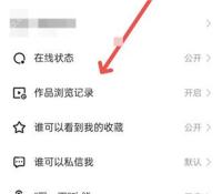 快手隐私设置页面点击作品浏览记录