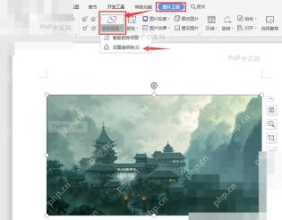 WPS界面中选中图片的状态,显示蓝色边框和控制点