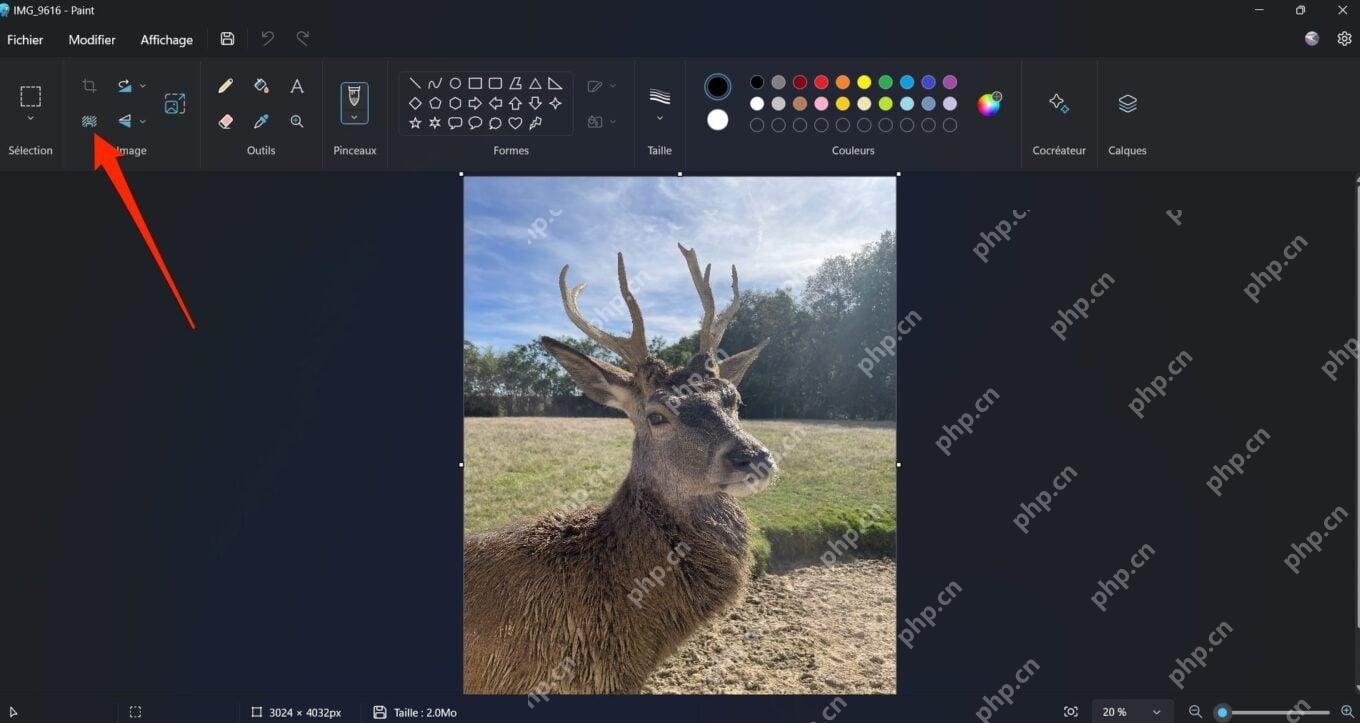 Windows 11 画图工具栏中的删除背景按钮