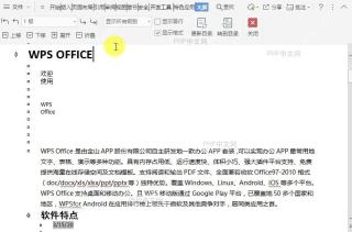 在文档大纲视图中如何显示对应项目级别的内容?中间操作
