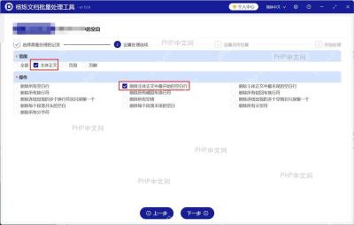 Word文档编辑界面,显示多个段落开头带有空格的文本内容,部分文本处于选中状态