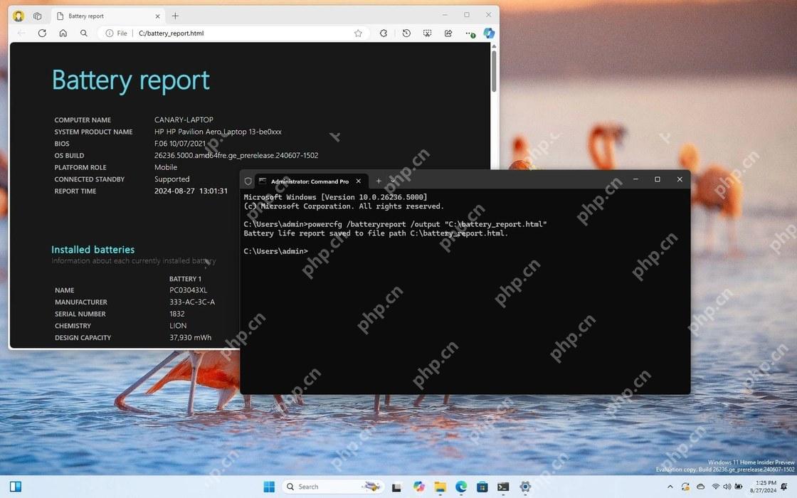 Win11 终端中运行 powercfg batteryreport 命令