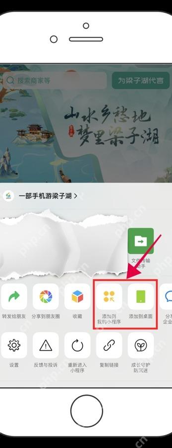 番茄免费小说APP微信小程序怎么添加到桌面步骤4界面