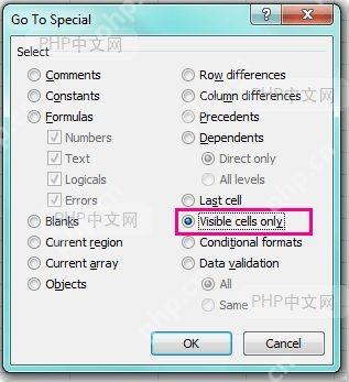 Excel Go To Special 定位条件窗口选中 Visible cells only 可见单元格选项