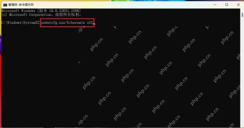 Win11 管理员命令提示字元执行 powercfg h off