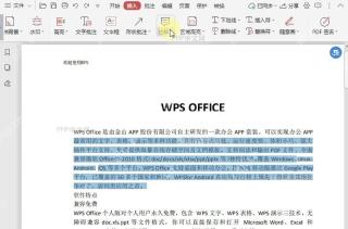 PDF如何文档中插入删除线？设置效果