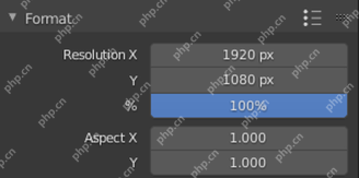 Blender Format 面板中 Resolution X、Y、百分比和 Frame Rate 位于同一区域