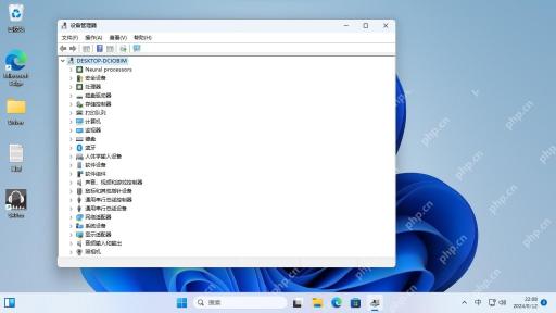 Windows 11 中文设备管理器打开后的硬件分类界面