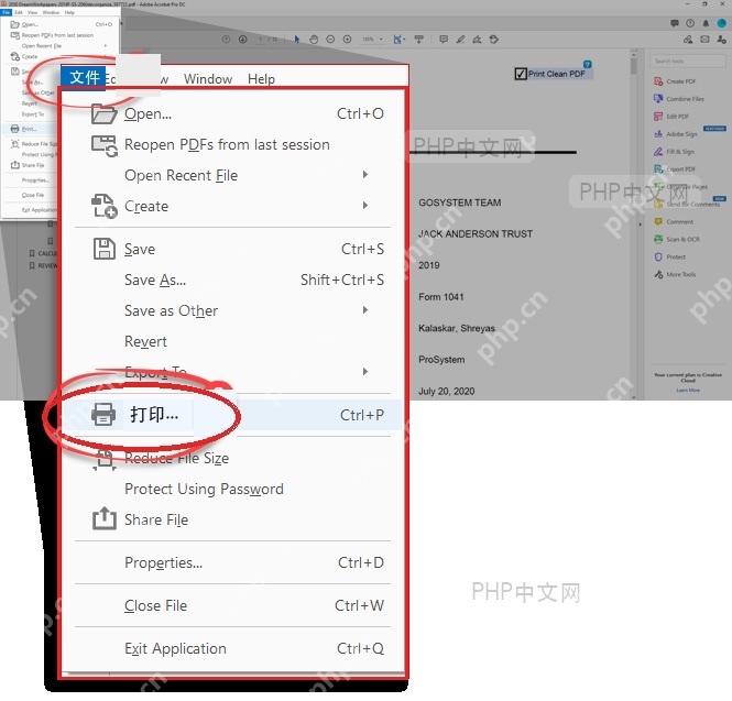 Adobe Acrobat 文件菜单中的打印入口服务于打开打印窗口步骤
