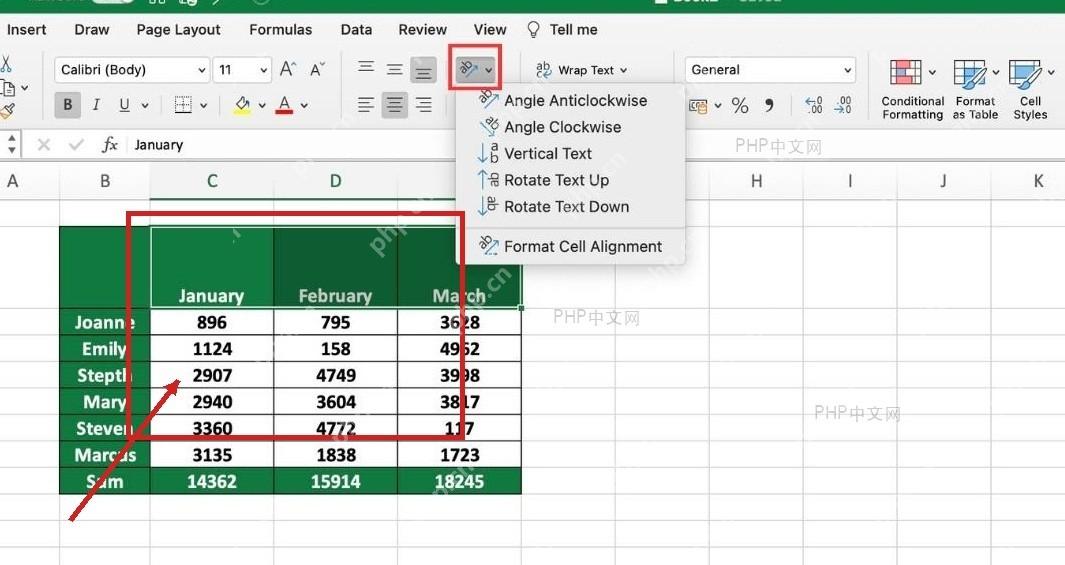 Excel 表格中选中需要设置文字竖排的表头单元格区域
