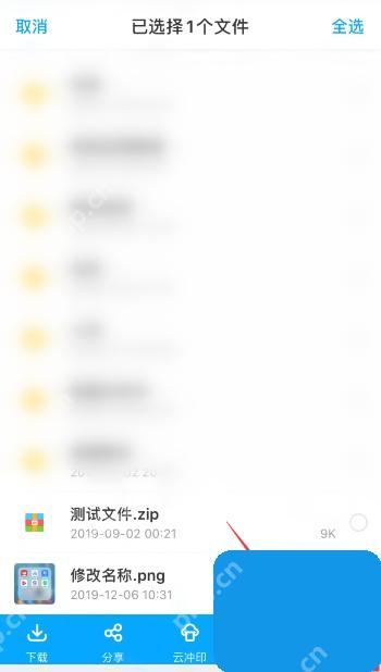 百度网盘 App 已选中文件后的底部操作栏