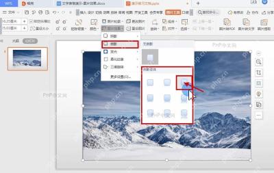 WPS 演示图片效果菜单中选择倒影变体样式