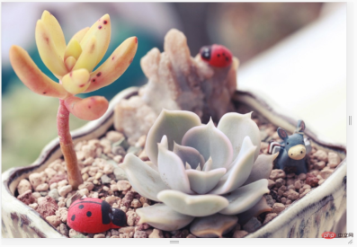 1618908042641556.png css怎麼設定圖片背景