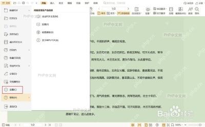 WPS PDF 文件菜单中准备打开设置页