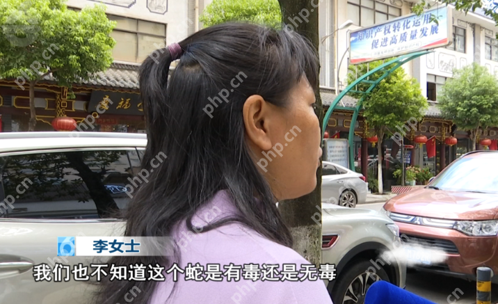 昆明一女子网购拆出活蛇!商家仅退款了事…… - php中文网