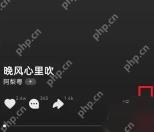 汽水音乐播放页更多菜单入口