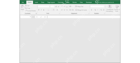 Excel 打开后显示空白窗口的界面