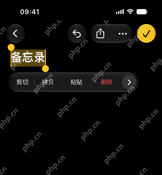 iPhone深色文本编辑界面显示撤销和编辑菜单