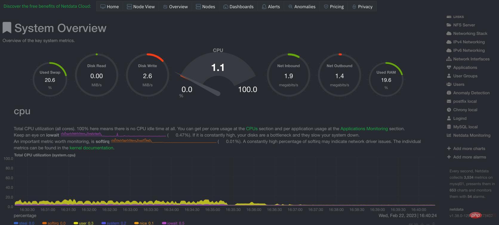 Erfahren Sie, wie Sie die Offline-Version von Netdata Service Monitoring schnell unter Linux installieren