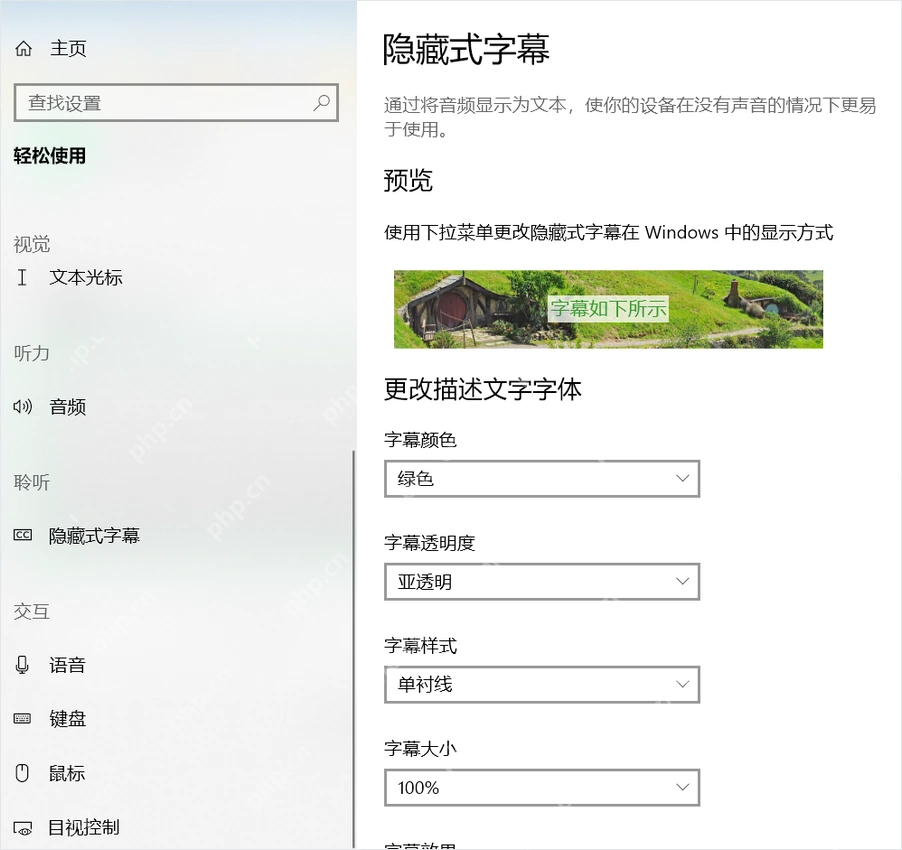 Win10 隐藏式字幕设置页