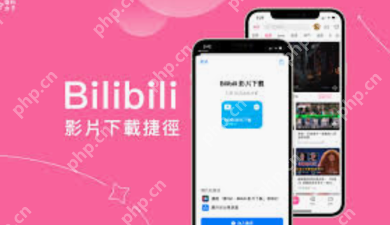 少女视频bilibili观看入口 bilibil少女视频直接观看地址 - php中文网