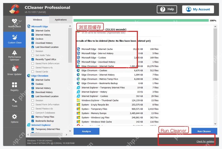CCleaner 分析结果中的浏览器缓存和历史记录