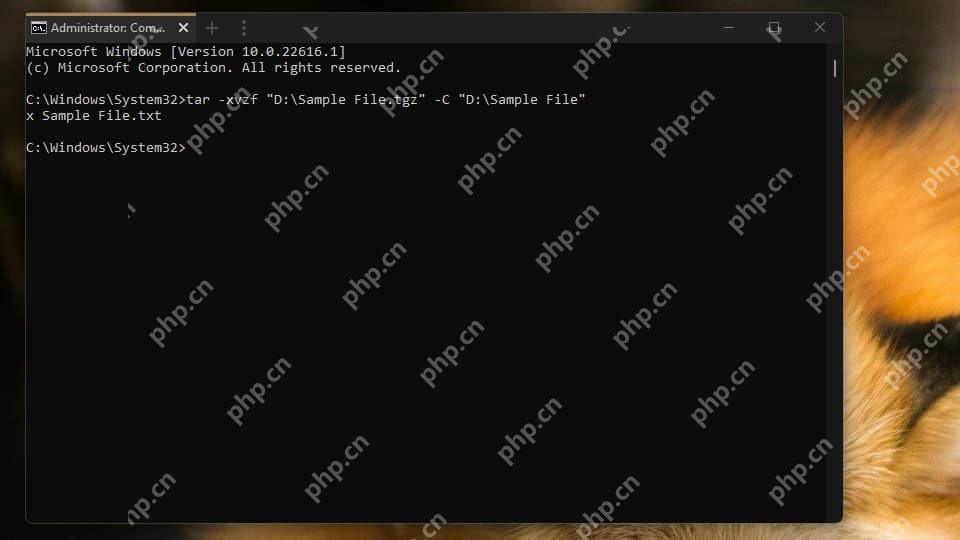 Win11怎么解压带多层目录的归档到指定层级_路径剥离参数用法 - php中文网