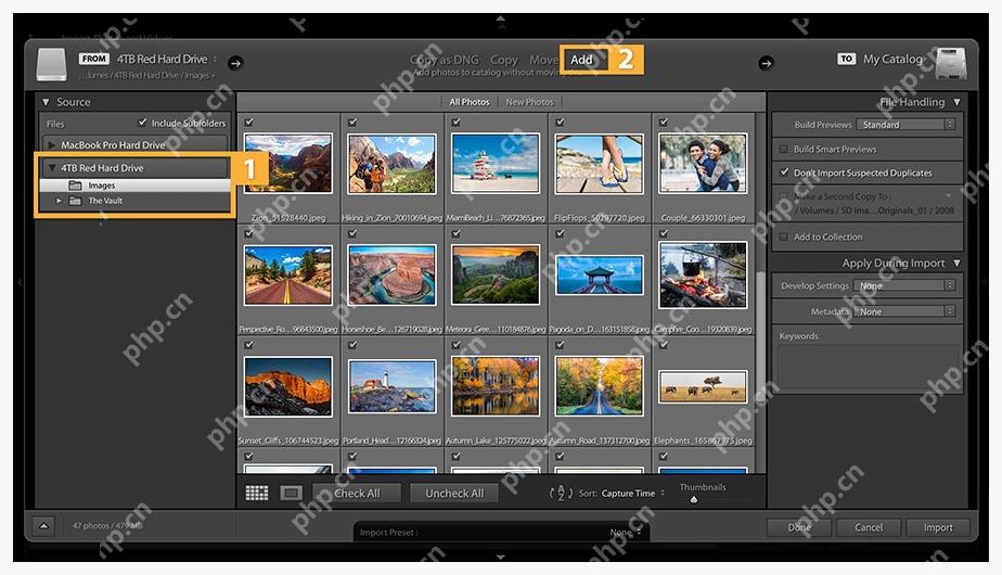 Lightroom Classic Import 窗口左侧电脑硬盘文件夹和顶部 Add 选项