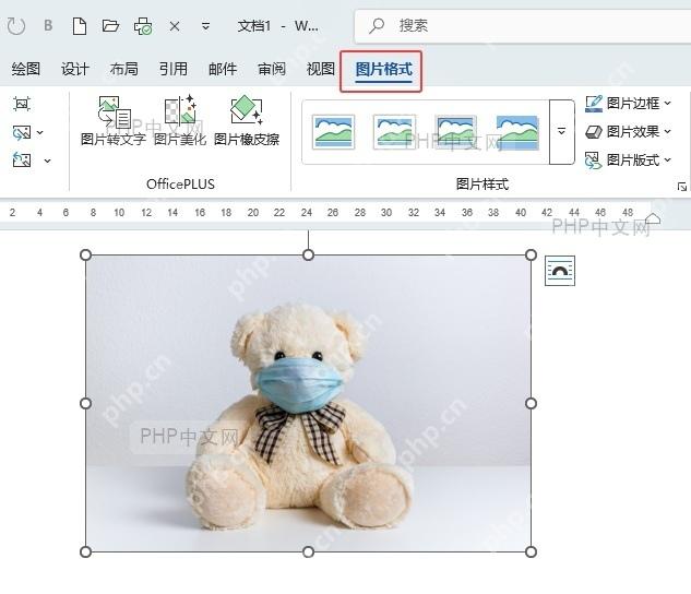 Word 文档中图片被选中后显示图片格式选项卡