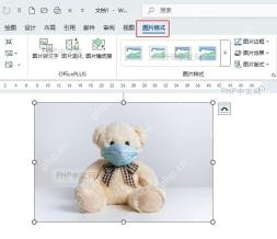 Word 文档中图片被选中后显示图片格式选项卡