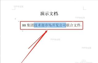 Word文档中选中准备设置双行合一的文字