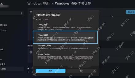 Win11 Windows 预览体验计划中选择预览通道