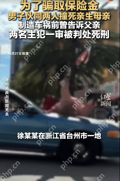 为骗保伙同他人撞死亲生母亲,两名主犯一审被判死刑 - php中文网