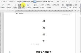 在文档大纲视图中如何显示所有文字内容的格式?中间操作