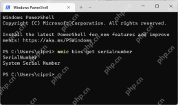 PowerShell 中 wmic bios get serialnumber 返回 System Serial Number 占位值