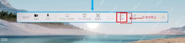 Teams 共享控制栏中的批注按钮