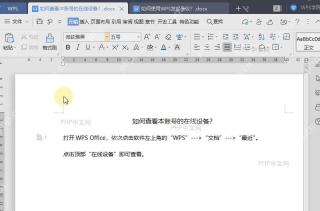 如何查看本账号的在线设备?入口位置