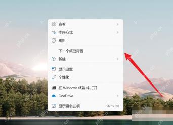 Win11怎么设置桌面图标大小