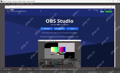 OBS Studio 预览区摄像头来源出现红色边框和控制点用于调整大小
