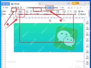 WPS 文字中图片控制点和图片工具尺寸区域的步骤截图