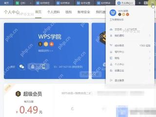 WPS如何修改个人资料？入口位置