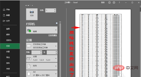 Was soll ich tun, wenn meine Excel-Tabelle ohne Rasterlinien ausgedruckt wird?