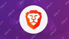 Brave浏览器官方软件封面