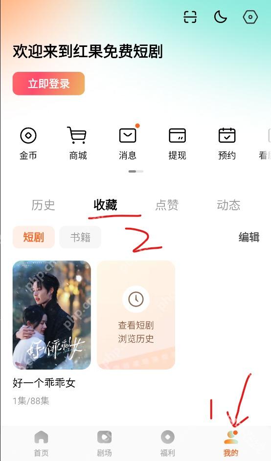 红果免费短剧收藏页短剧条目和我的入口