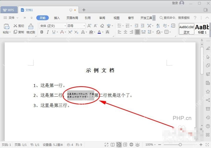 WPS 文字文档中双行合一完成后的排版效果